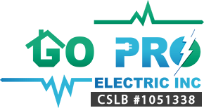 Go Pro Electric